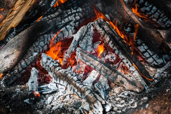 Yangın. Parlak bir alev. Bir esinti niteliğine. Orman yangınları. Sigara kömürlerin dokusuna.