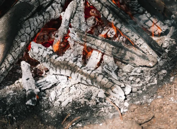 Yangın. Parlak bir alev. Bir esinti niteliğine. Orman yangınları. Sigara kömürlerin dokusuna.