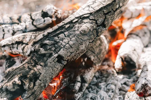 Yangın. Parlak bir alev. Bir esinti niteliğine. Orman yangınları. Sigara kömürlerin dokusuna.