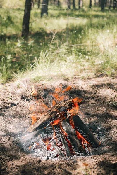 Yangın. Parlak bir alev. Bir esinti niteliğine. Orman yangınları. Sigara kömürlerin dokusuna.