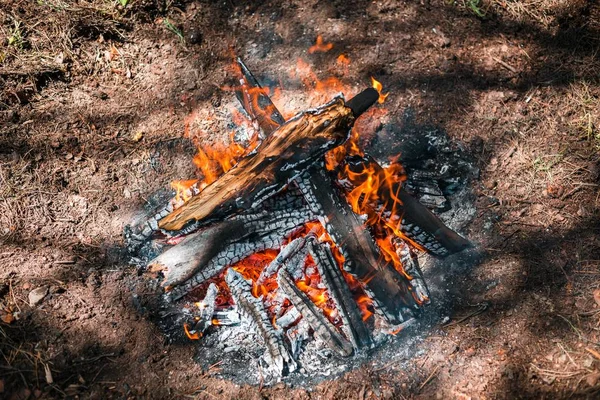 Yangın. Parlak bir alev. Bir esinti niteliğine. Orman yangınları. Sigara kömürlerin dokusuna.