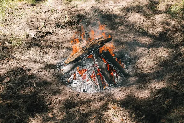 Yangın. Parlak bir alev. Bir esinti niteliğine. Orman yangınları. Sigara kömürlerin dokusuna.