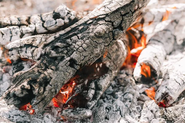 Yangın. Parlak bir alev. Bir esinti niteliğine. Orman yangınları. Sigara kömürlerin dokusuna.
