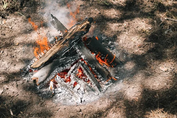 Yangın. Parlak bir alev. Bir esinti niteliğine. Orman yangınları. Sigara kömürlerin dokusuna.