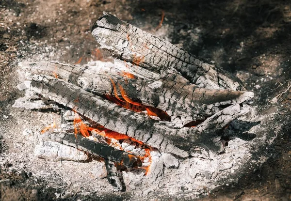 Yangın. Parlak bir alev. Bir esinti niteliğine. Orman yangınları. Sigara kömürlerin dokusuna.