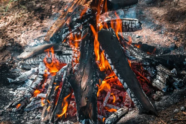 Yangın. Parlak bir alev. Bir esinti niteliğine. Orman yangınları. Sigara kömürlerin dokusuna.