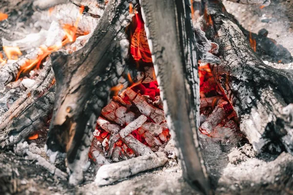 Yangın. Parlak bir alev. Bir esinti niteliğine. Orman yangınları. Sigara kömürlerin dokusuna.