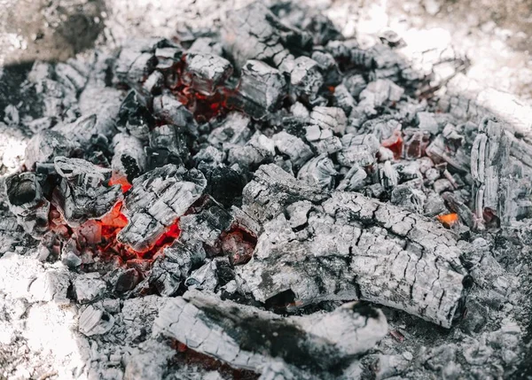 Yangın. Parlak bir alev. Bir esinti niteliğine. Orman yangınları. Sigara kömürlerin dokusuna.