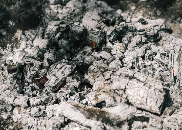 Yangın. Parlak bir alev. Bir esinti niteliğine. Orman yangınları. Sigara kömürlerin dokusuna.