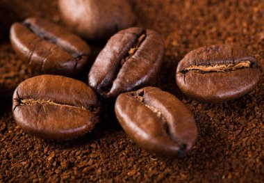 kavrulmuş kahvenin beyaz arka planda izole. Kavrulmuş kahve çekirdekleri arka plan kapatın. Kahve çekirdekleri çekilmiş kahve ile kopya alanı metin için arka plan üzerinde kazık. Günaydın.