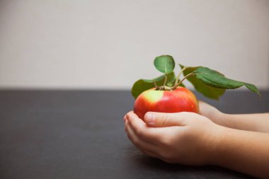 Küçük çocuğun elini tut Kırmızı elma minimalist arka plan üzerinde