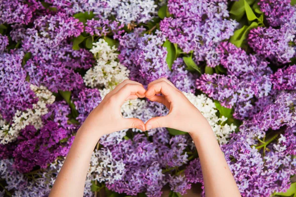 Little hands in shape of heart on colorful lilac background.