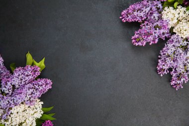 Merkezinde kopya alanı olan çiçek arkaplanı ve sınırında leylak çiçeği.
