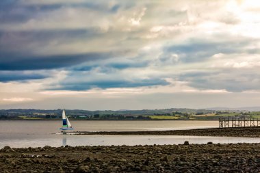 Strangford Lough, County Down, Kuzey İrlanda'da yelken yat