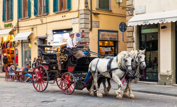 피렌체, 토스카나, 이탈리아-6 월 7, 2016: 말과 마차 — 스톡 사진