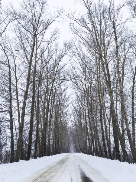 Landscape of cold and snowy winter in Russia