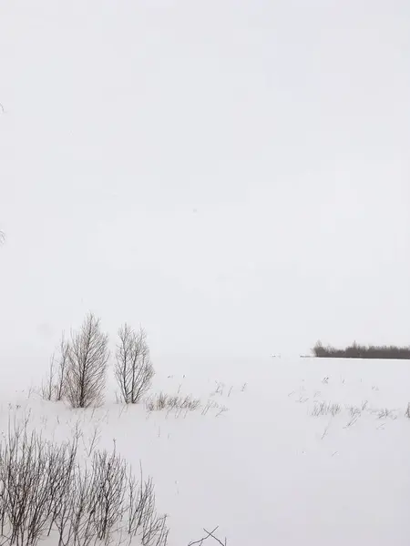 Landscape of cold and snowy winter in Russia