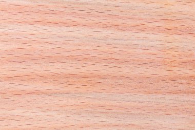 Wood texture Beech board. Highly detailed wood texture. Wooden background.