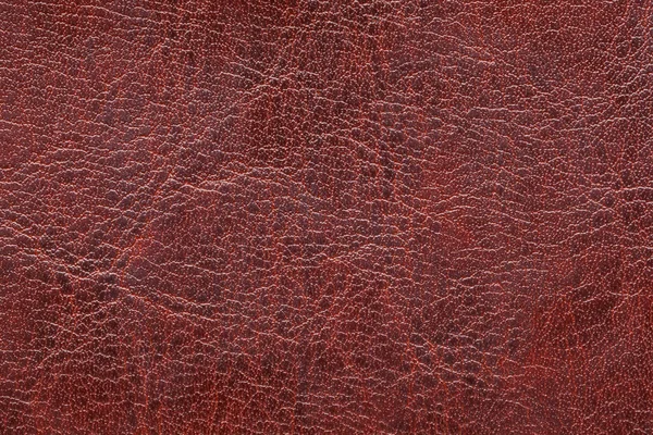 Leather. Artificial leather. Textured surface of artificial or natural leather. Close up view. — Stock Photo, Image
