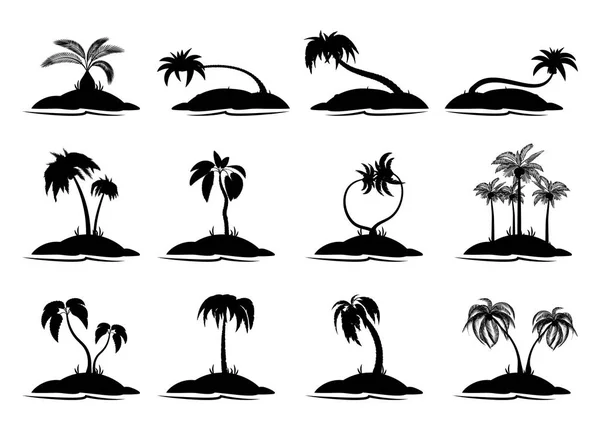 Ställ in tropiska palmer med blad, mogna och unga växter. Svarta silhuetter isolerad på vit bakgrund. Vektor. Palm-ikonen — Stock vektor