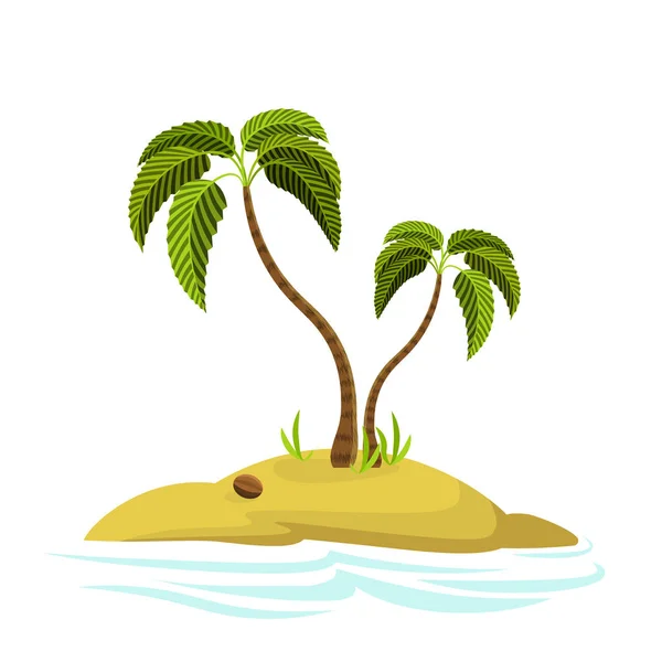 Ilustração de uma palmeira em uma ilha. Palmeira decorativa isolada sobre fundo branco. Vector. Ícone . — Vetor de Stock