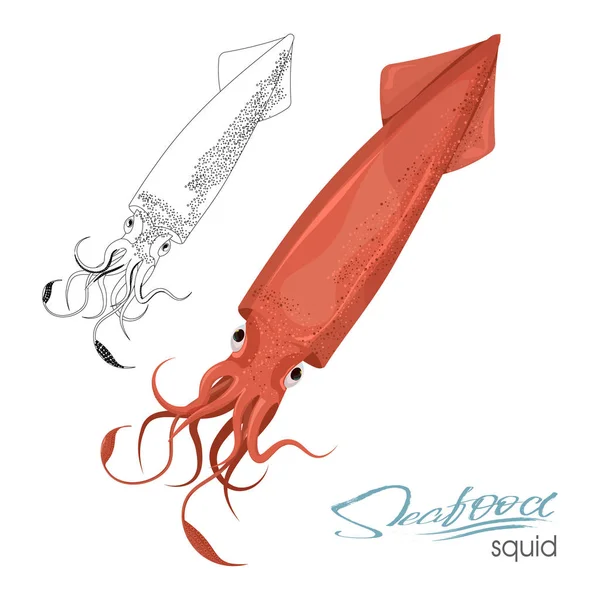 Calamaro di disegno di colore rosso piatto. Calamari rossi con tentacoli isolati su sfondo bianco. Creatura che galleggia nell'acqua. Fauna selvatica abitante del mondo sottomarino. Frutti di mare commestibili Illustrazione vettoriale — Vettoriale Stock