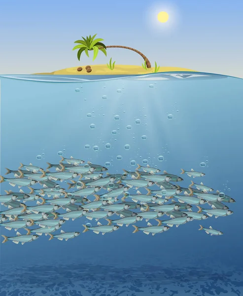 समुद्र लँडस्केपचे वेक्टर उदाहरण, माशांची शाळा. पाण्याच्या वर तळहाताचे झाड आणि नारळ असलेल्या बेटाची प्रतिमा. मासे, वनस्पती, बेट सह कार्टून पाण्याखालील जग . — स्टॉक व्हेक्टर