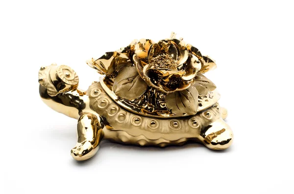 Tartaruga d'oro porcellana, isolata su sfondo bianco . — Foto Stock