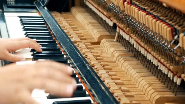 Due mani maschili che suonano il vecchio pianoforte. Vista da vicino . — Video Stock