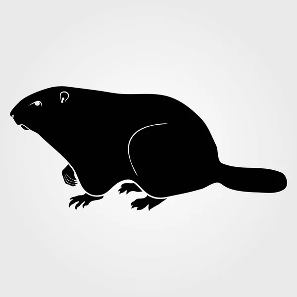 Піктограма Groundhog на білому тлі — стоковий вектор