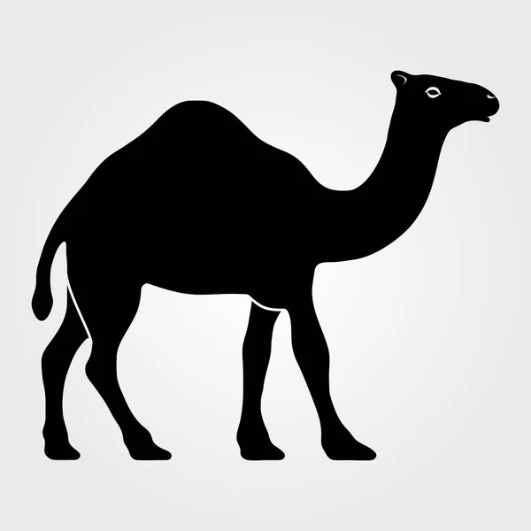 Ícone de camelo em um fundo branco —  Vetores de Stock