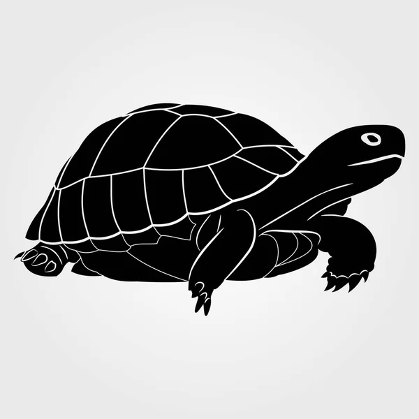 Ícone de tartaruga em um fundo branco — Vetor de Stock