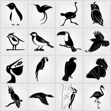 Kuşlar simgeler kümesi. Penguen, kuş, Pelikan, kuş uğultu, baykuş, Kartal, horoz, horoz, Tukan, devekuşu, kuzgun, büyük baştankara, papağan, ağaçkakan, ördek, Kakadu ve Flamingo simgeleri
