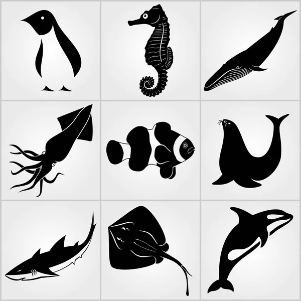 Conjunto de iconos de Animales. Pingüino, Stingray, león marino, Grampus, tiburón, ballena, calamar, pez payaso y caballitos de mar iconos — Vector de stock