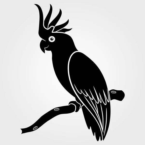 Ikona papugi Kakadu na białym tle. — Wektor stockowy