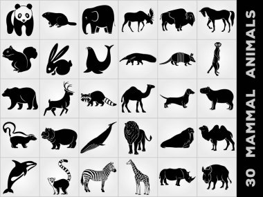 Otuz memeli hayvanlar Icon set