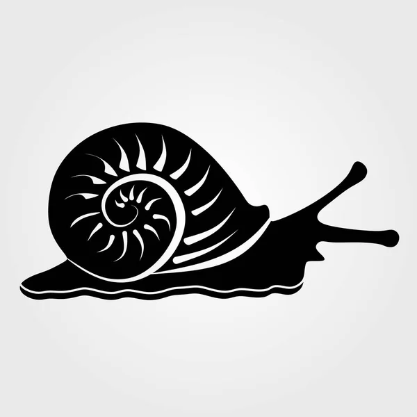 Snail Icon Isolated White Background — Stock Vector