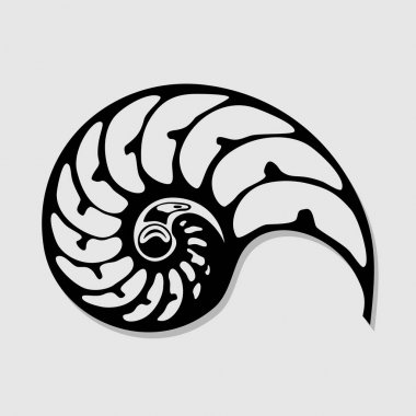 Beyaz arka plan üzerinde izole deniz kabuğu. Vektör çizim.