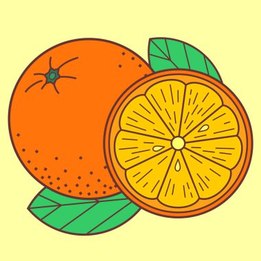 Beyaz arka planda izole edilmiş portakal meyvesi. Vektör illüstrasyonu.