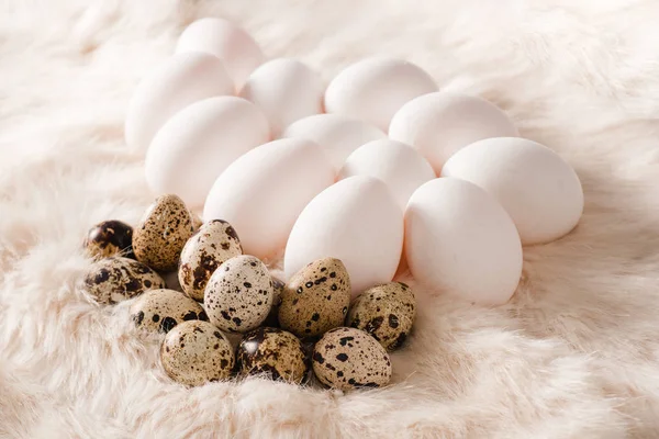 Bovenaanzicht van kwartel en kip Pasen eieren op zachte wol of bont — Stockfoto