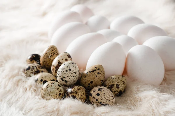 Bovenaanzicht van kwartel en kip Pasen eieren op zachte wol of bont — Stockfoto