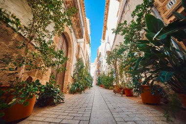 23 Aralık 2019 'da İspanya' nın Javea şehrinde Alicante. Eski Jvea kasabasındaki güzel sokaklardan biri ve cadde boyunca uzanan güzel saksılar.