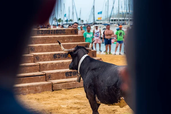 Denia Hiszpania Lipiec 2019 Tradycyjne Wakacje Denii Bull Strzał Tła — Zdjęcie stockowe