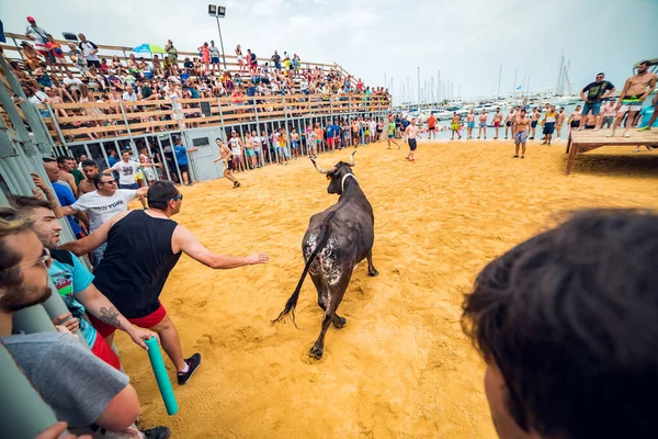 Denia Hiszpania Lipiec 2019 Tradycyjne Wakacje Denii Byk Ściga Faceta — Zdjęcie stockowe