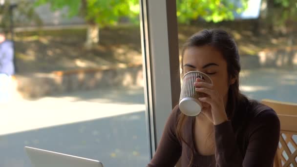 Girl with laptop in a cafe drinking coffee — Stock video