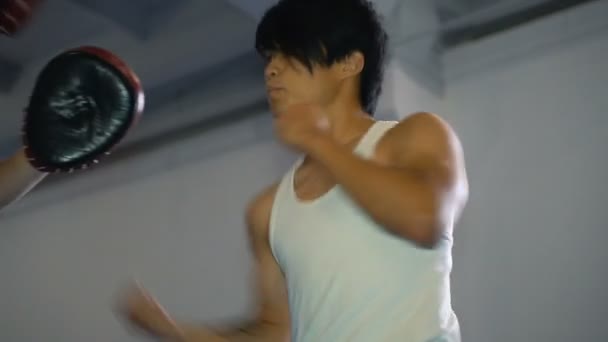 Два парня тренируют смешанные боевые искусства в зале боевых искусств — стоковое видео