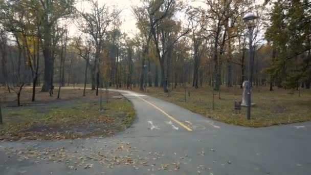Promenade dans l'allée du parc en automne journée ensoleillée 