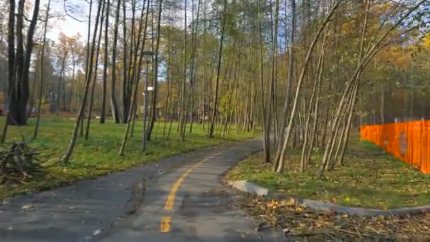 Caminar por el callejón del parque en otoño día soleado — Vídeos de Stock