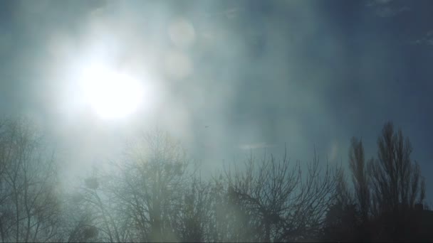 Sol no céu nublado em um dia de inverno — Vídeo de Stock