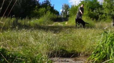 Siyah köpek sahibi ona attı sopa sonra çalışır